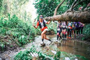 BIB: 
                            <button type="button" onclick="openModal(25516938)" class="btn btn-primary btn-sm float-right btn-popup" data-toggle="modal" data-target=".modal-high-quality">
                        <i class="fas fa-shopping-cart"></i> Add to Cart
                    </button>
                                            <button type="button" onclick="isThisMe(25516938, true)" class="btn btn-success btn-sm float-right btn-popup btn-isme hidden" data-toggle="tooltip" data-placement="bottom" title="นี่คือรูปของคุณใช่ไหม คลิกที่นี่เพื่อเอาเข้าอัลบั้ม">
                        <i class="fas fa-plus"></i> Add to album
                    </button>
                    <button type="button" onclick="isThisMe(25516938, false)" class="btn btn-warning btn-sm float-right btn-popup btn-isnotme hidden">
                        <i class="fas fa-ban"></i> Remove from album
                    </button>